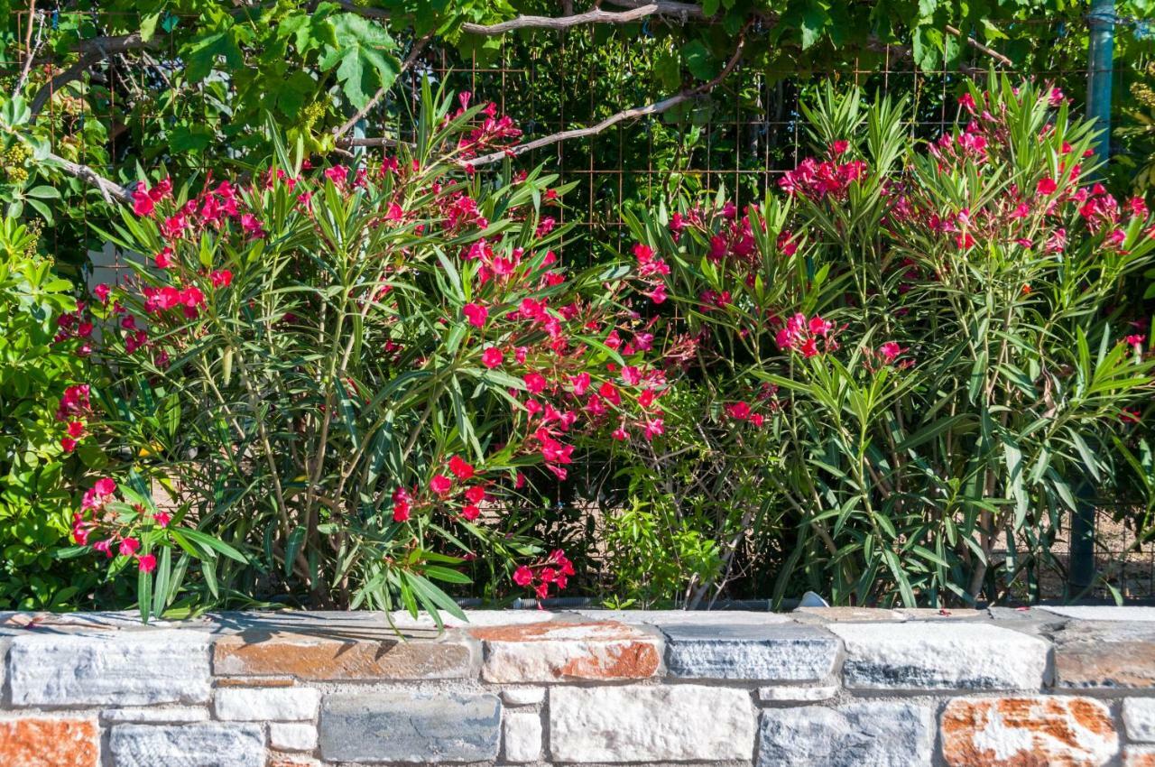 Viglaki House Villa Mikri Vigla Ngoại thất bức ảnh